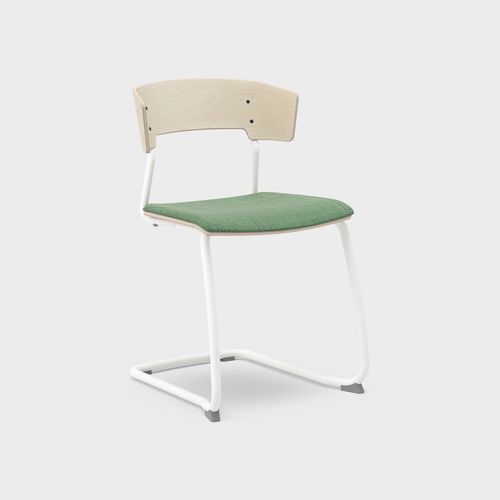 Art. 294 CFRAME US